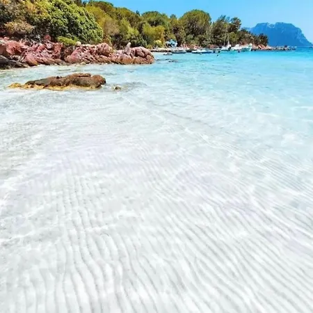 Vacanze Am By Interhome Olbia