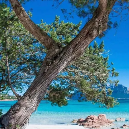 Vacanze Am By Interhome Lejlighed *
